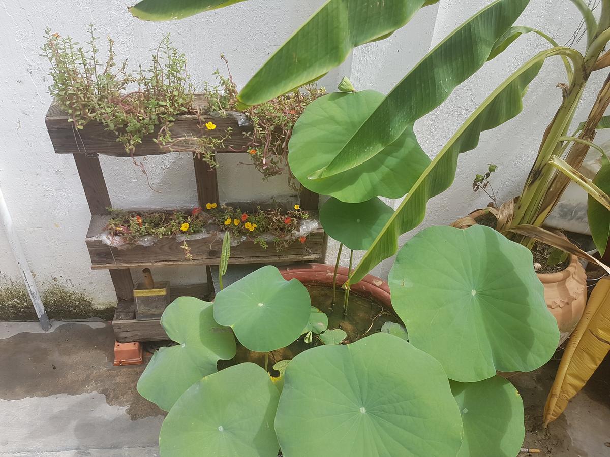 La La House Homestay Нячанг Екстер'єр фото