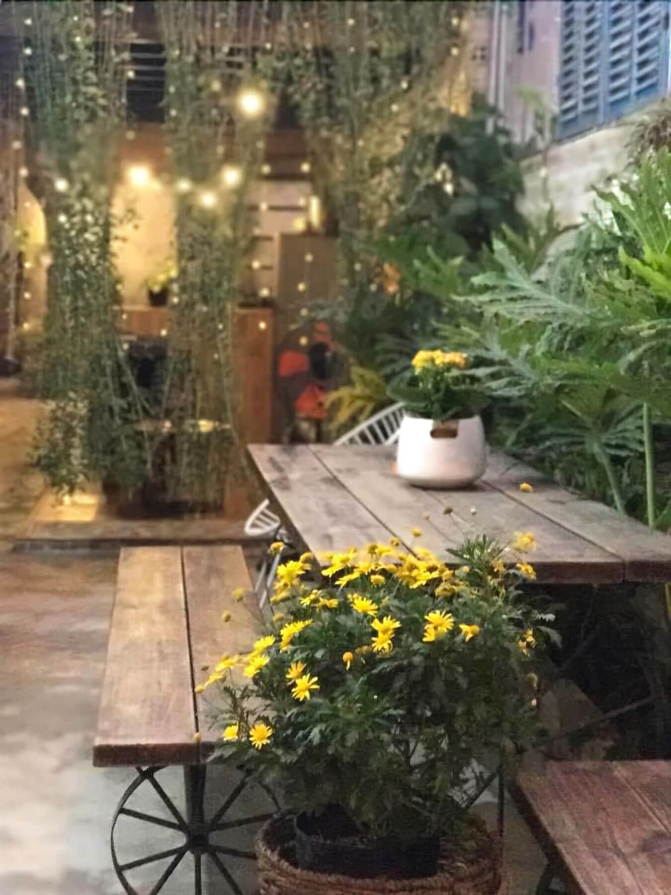 La La House Homestay Нячанг Екстер'єр фото